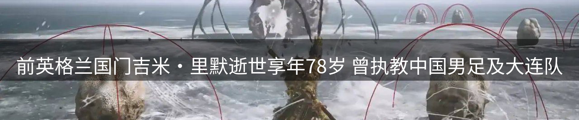 体育资讯