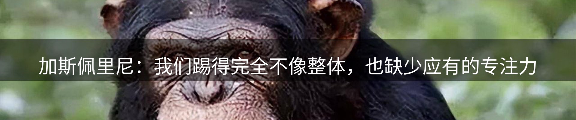 体育资讯