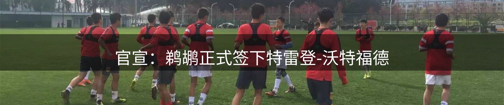 体育资讯