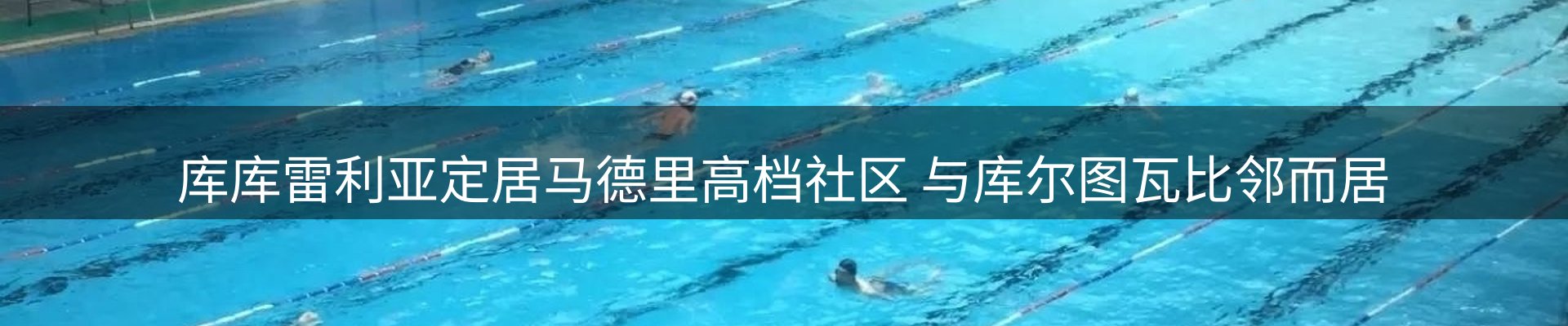 体育资讯