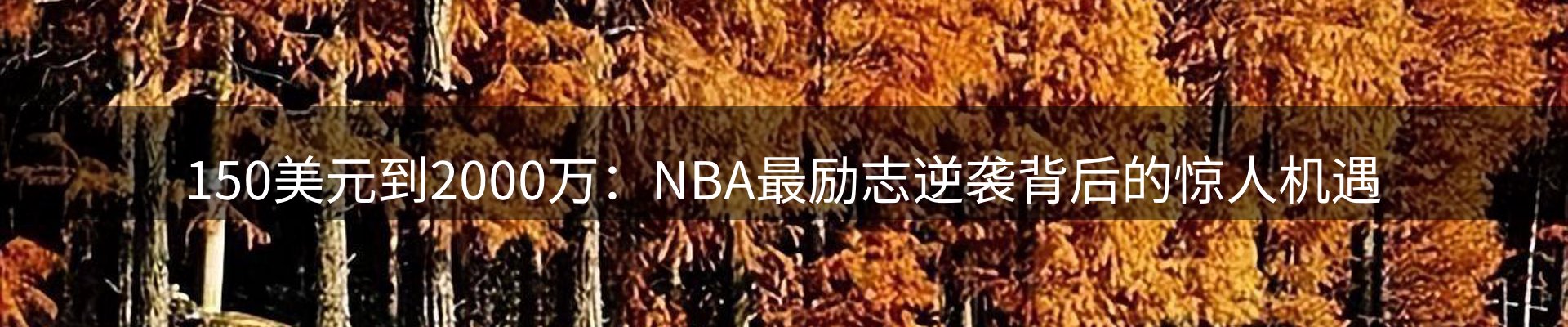 体育资讯